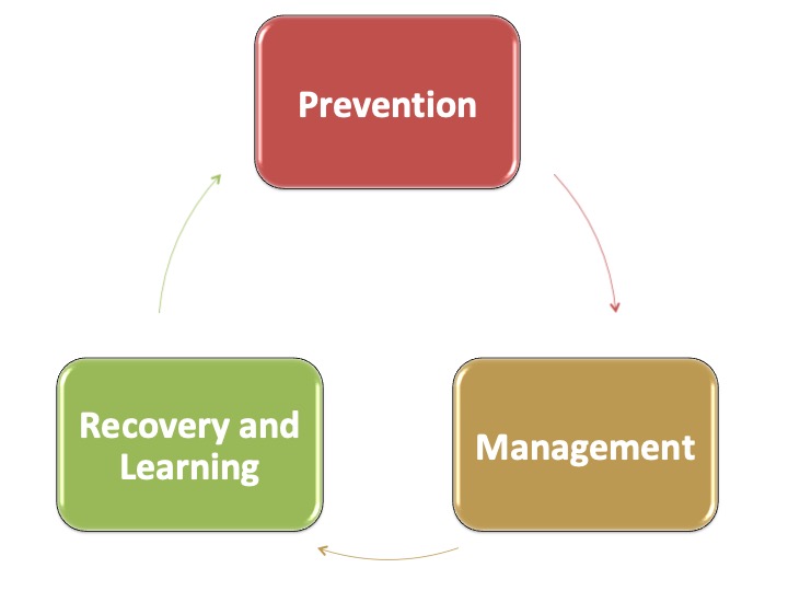 Where is your company placed in the workplace bullying growth cycle?